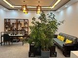 宠物火化度化-北京宠物火化服务电话
