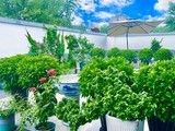 宠物火化庙葬-北京宠物火化