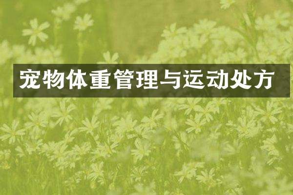 宠物体重管理与运动处方