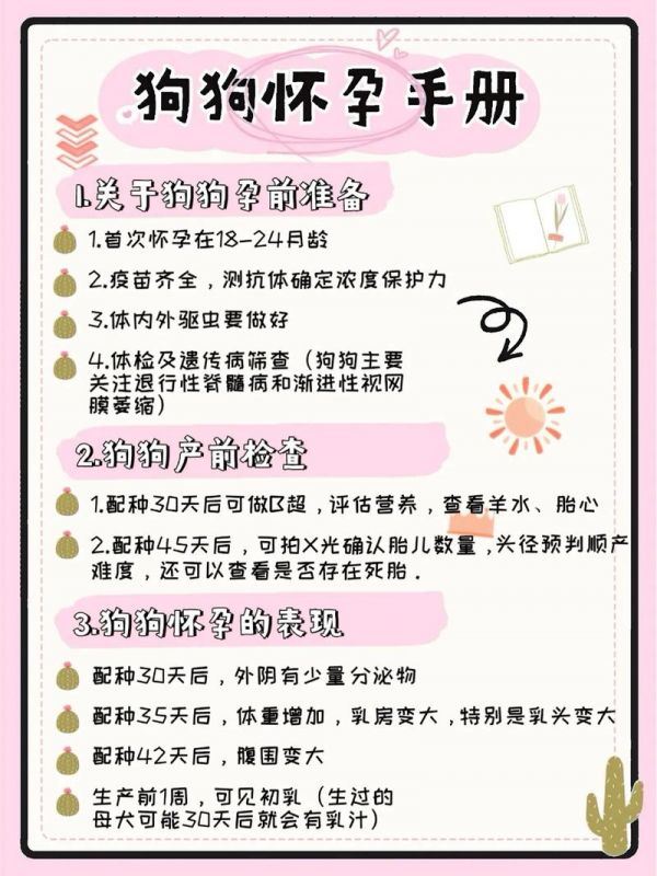 如何给怀孕的狗补营养