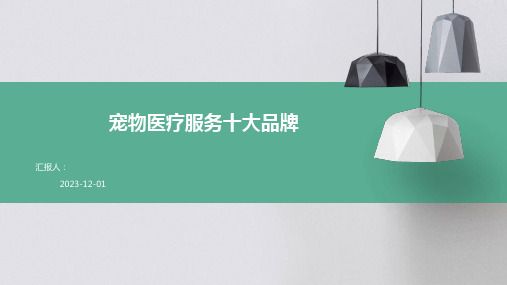 宠物医疗服务十大品牌