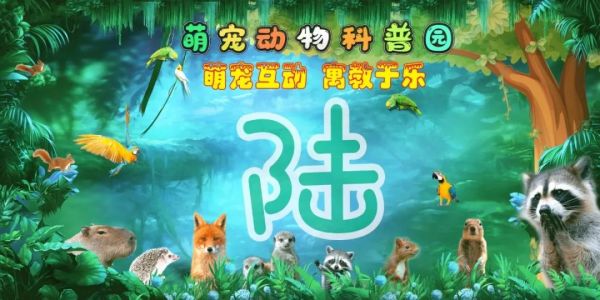  绿色生态，快乐萌宠，探索代村萌宠乐园的魅力