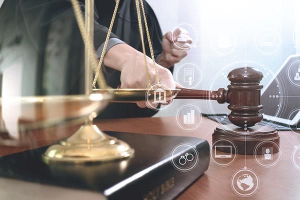 宠物买卖合同纠纷案:宠物主人与宠物店主的法律较量 图1