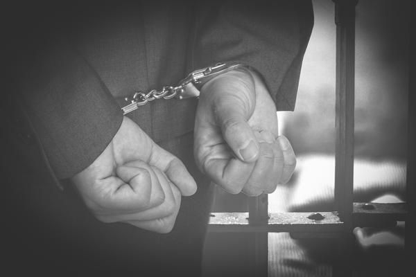养宠物是否合法？儿子养宠物犯法吗？图1