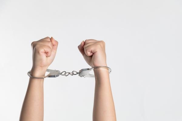养宠物是否合法？儿子养宠物犯法吗？ 图2