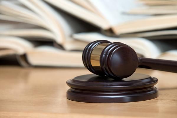 《宠物养殖背后的法律红线：养宠物犯法该如何处罚？》图1
