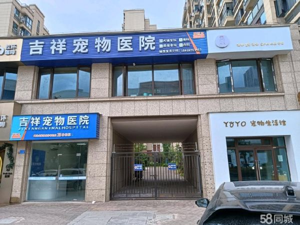 宠物店设备齐全 会修毛美容养殖的一起合作