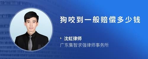 狗咬到一般赔偿多少钱