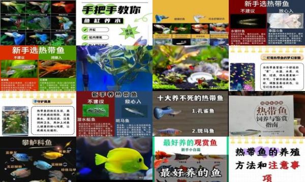 热带鱼怎么养长的快
