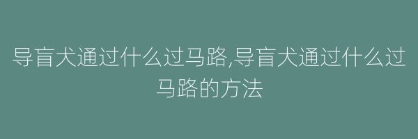 导盲犬通过什么过马路,导盲犬通过什么过马路的方法