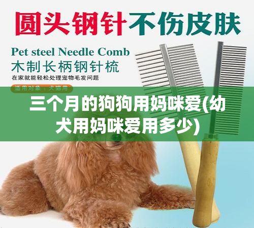 三个月的狗狗用妈咪爱(幼犬用妈咪爱用多少)