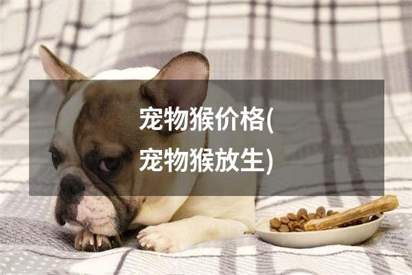宠物猴价格(宠物猴放生)