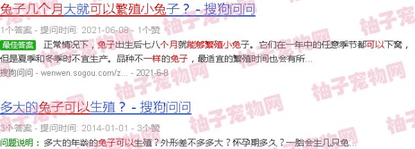 兔子一般几个月可以繁殖