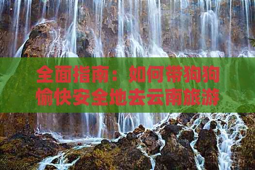 全面指南：如何带狗狗愉快安全地去云南旅游