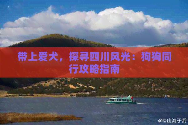 带上爱犬，探寻四川风光：狗狗同行攻略指南