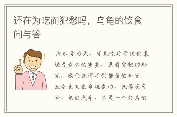 还在为吃而犯愁吗，乌龟的饮食问与答