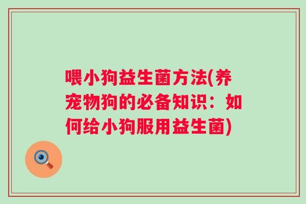 喂小狗益生菌方法(养宠物狗的必备知识：如何给小狗服用益生菌)