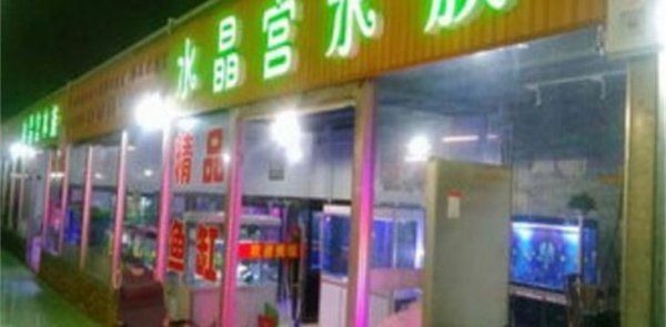深圳市最大的花鸟鱼虫市场在哪里