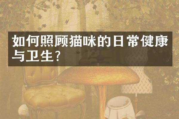 如何照顾猫咪的日常健康与卫生？