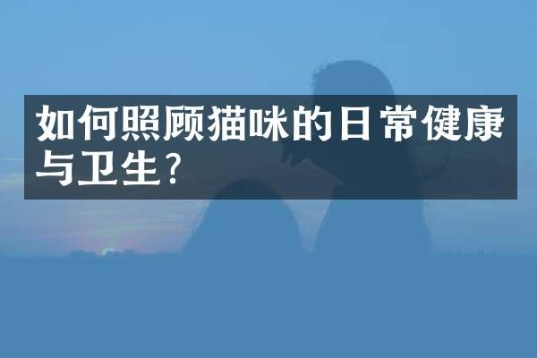 如何照顾猫咪的日常健康与卫生？