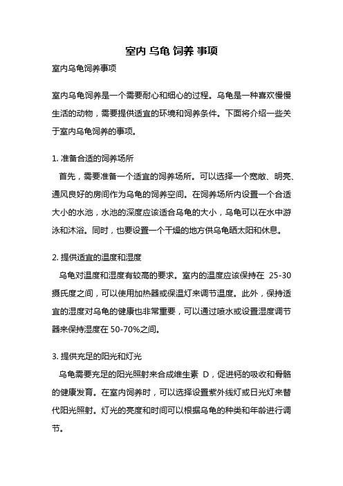 室内 乌龟 饲养 事项
