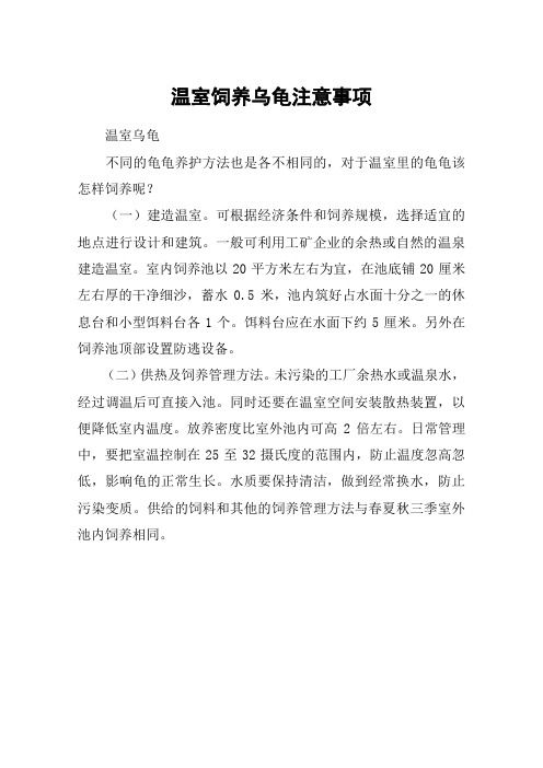 温室饲养乌龟注意事项
