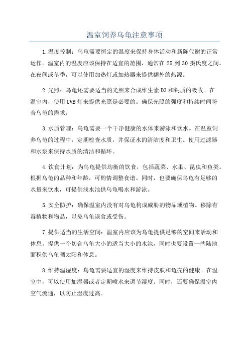 温室饲养乌龟注意事项