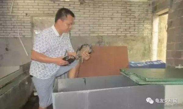 养龟不赚钱？看看博白龟农的销售养殖模式！