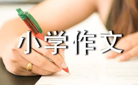 参观鸟类展览小学作文