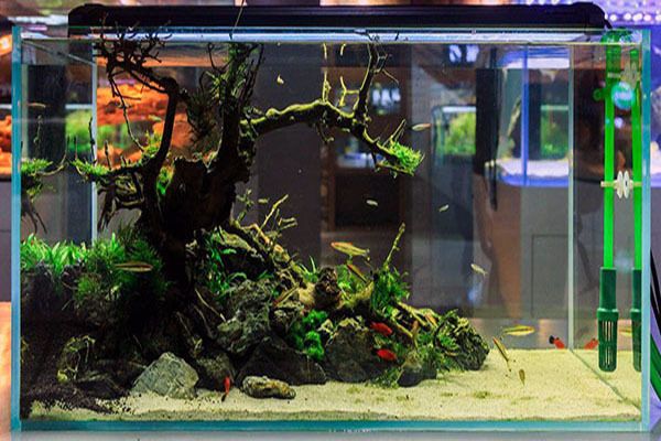 鱼缸水族箱的材质
