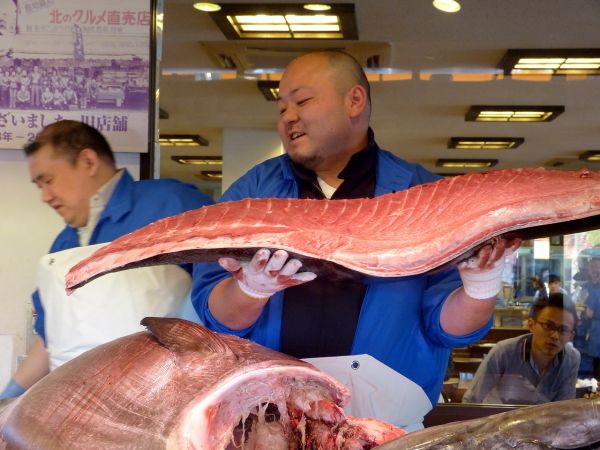 衡水哪里卖鱼缸好卖一点的 衡水鱼缸水族馆 鱼缸等水族设备