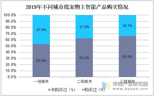2019年不同城市线宠物主智能产品购买情况