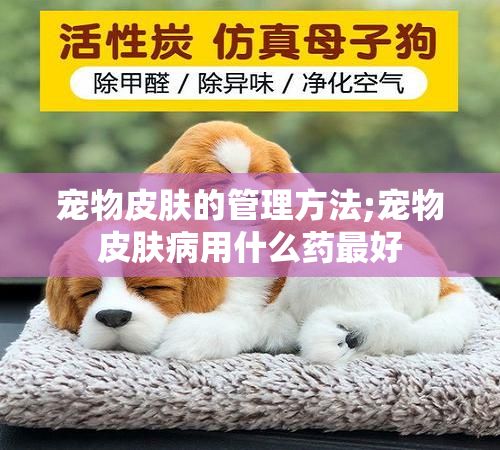 宠物皮肤的管理方法;宠物皮肤病用什么药最好