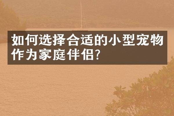 如何选择合适的小型宠物作为家庭伴侣？