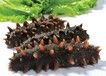 山东嘉和水产饲料粘合剂批发价格