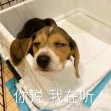 白 雲 永 晝