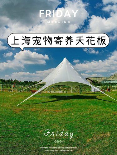 宠四季｜上海宠物寄养天花板，没有之一
