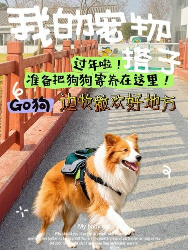 过年出去旅游我的小狗不会再孤单咯！
