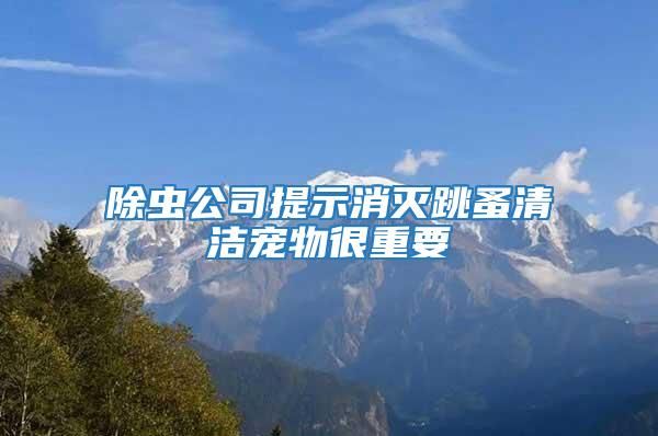 除虫公司提示消灭跳蚤清洁宠物很重要