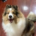 https://p0.meituan.net/dpmerchantpic/43fff662d9b2266201e65cd63d97386f2209534.jpg%40120w_120h_1e_1c_1l%7Cwatermark%3D0