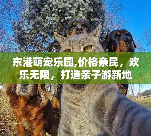 东港萌宠乐园,价格亲民,欢乐无限,打造亲子游新地标