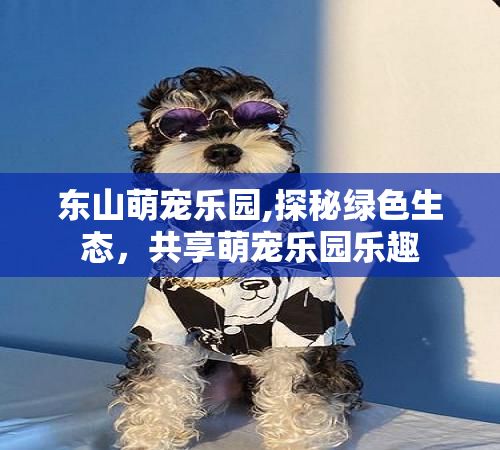 东山萌宠乐园,探秘绿色生态,共享萌宠乐园乐趣