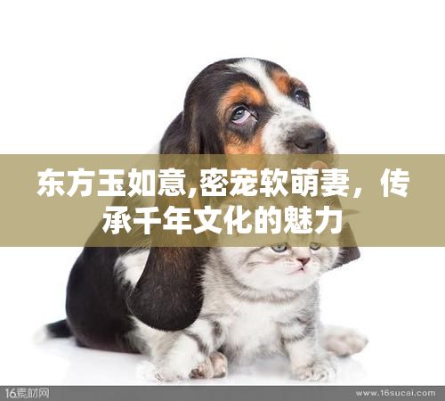 东方玉如意,密宠软萌妻,传承千年文化的魅力