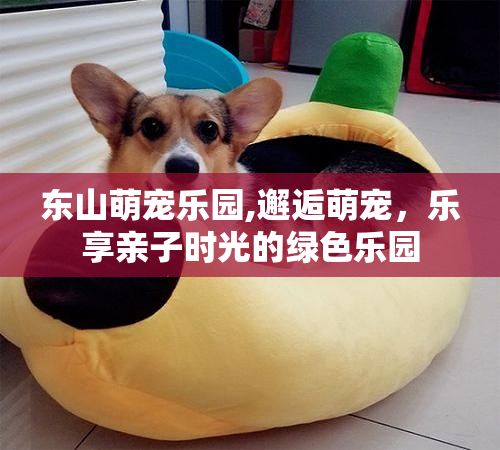 东山萌宠乐园,邂逅萌宠,乐享亲子时光的绿色乐园
