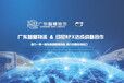 广州宠物玩具至印尼海外仓一件代发