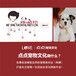 点点宠物文化还有哪些吸引宠物主人的法宝？