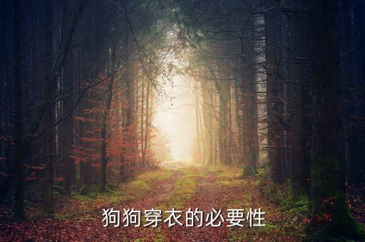 狗狗穿衣的必要性