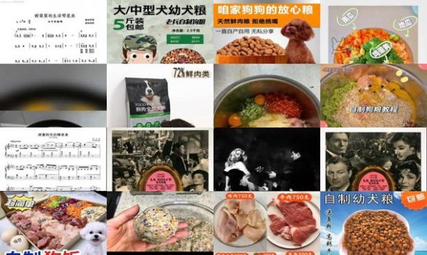 幼犬自制狗粮
