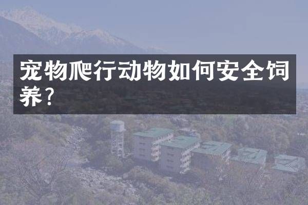 宠物爬行动物如何安全饲养？