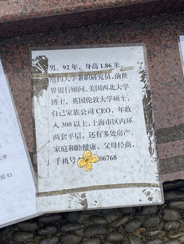 身家十位数富婆在人民公园相亲角加了媒人大爷后